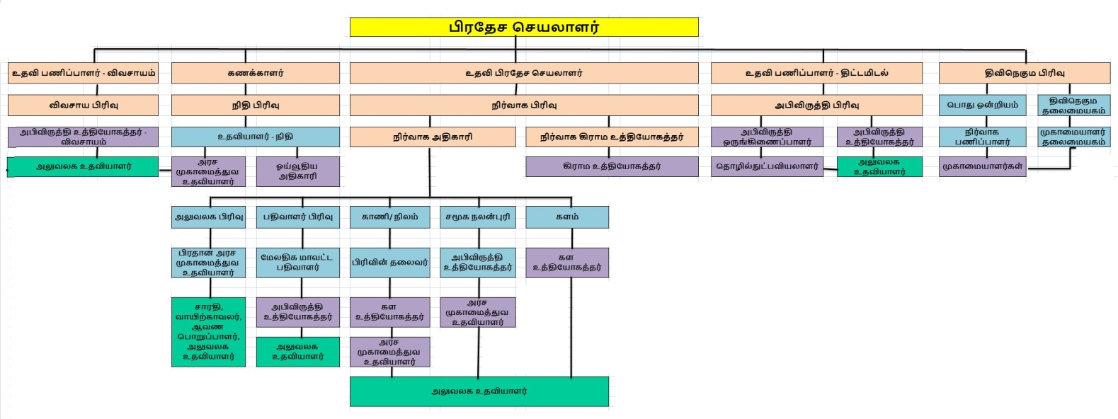 Organization Chart 01