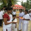 71 වන නිදහස් උළෙල