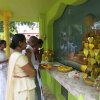 71 වන නිදහස් උළෙල