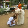 71 වන නිදහස් උළෙල